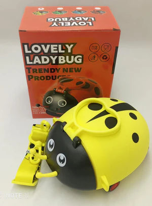Ladybug Water Bottle